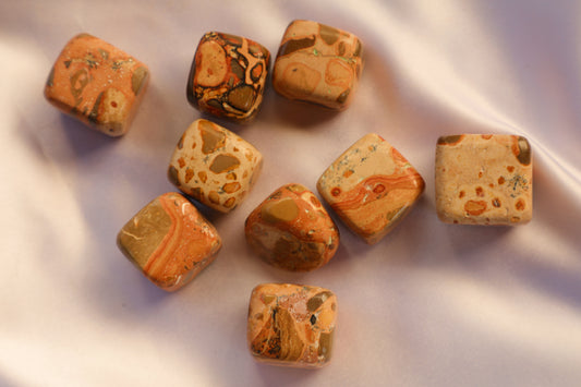 Leopard Skin Jasper Tumbles